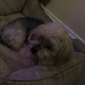 Meet your Posher, Deana